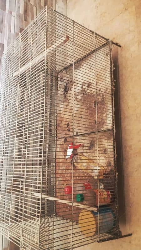 Birds Cage 3