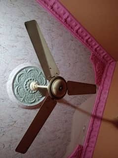AC Royal Ceiling fan Original Copper ma ha