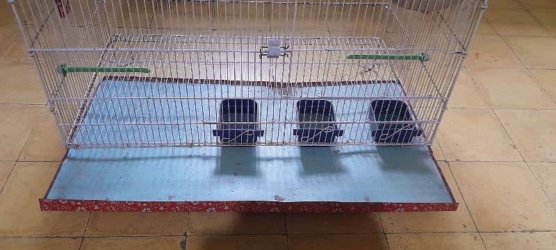 Cage for Birds 4