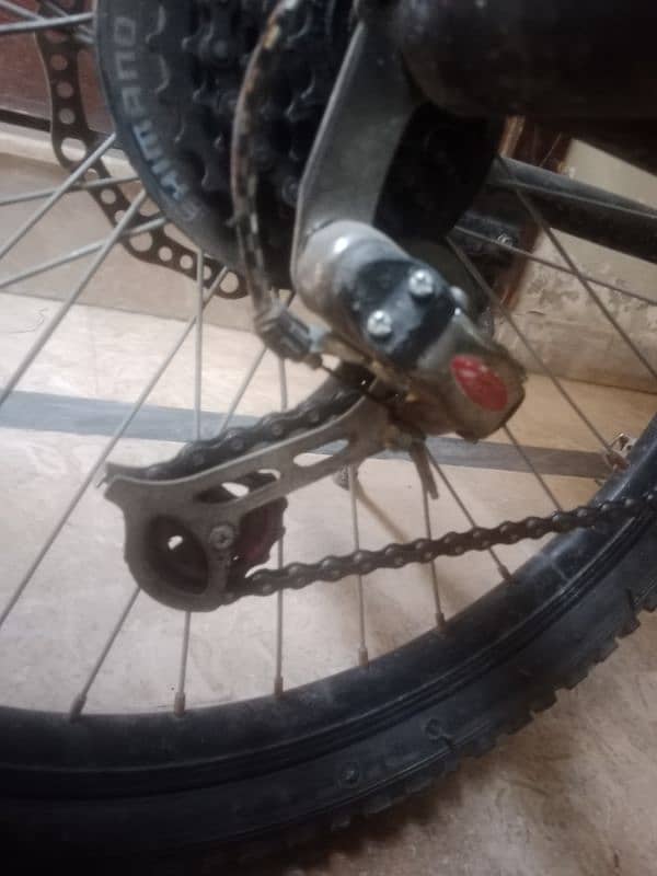 24 gairs cycle phoenix company 1