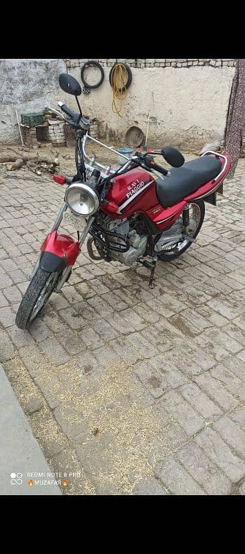 Ravi piaggio 1