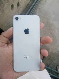 iphone 8 ( white)