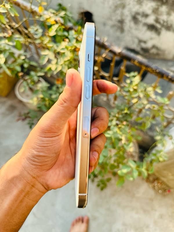 iPhone 12 Pro Max (factory unlock) 1