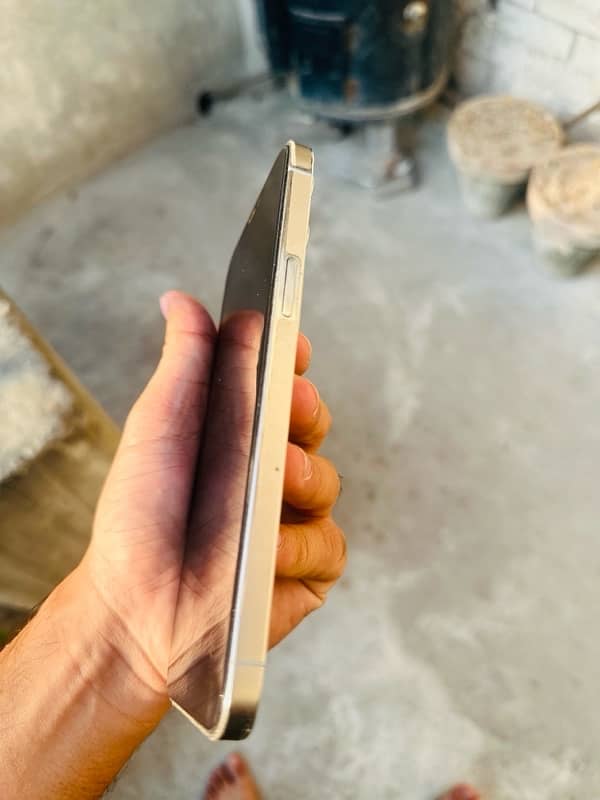 iPhone 12 Pro Max (factory unlock) 4