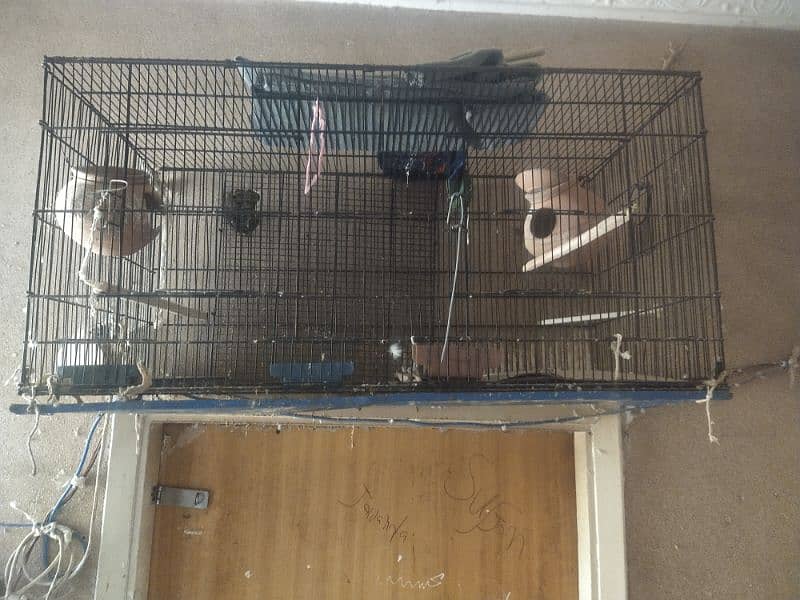 birds master cage 10 number wire 2
