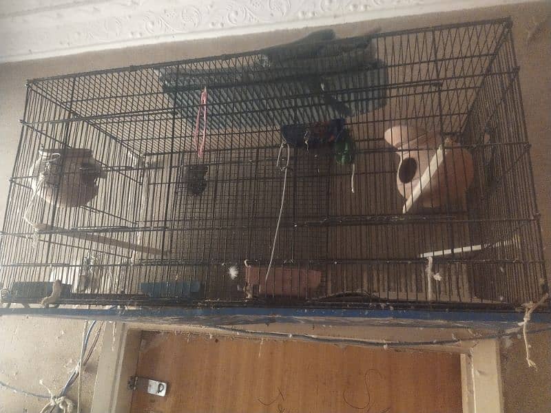 birds master cage 10 number wire 3