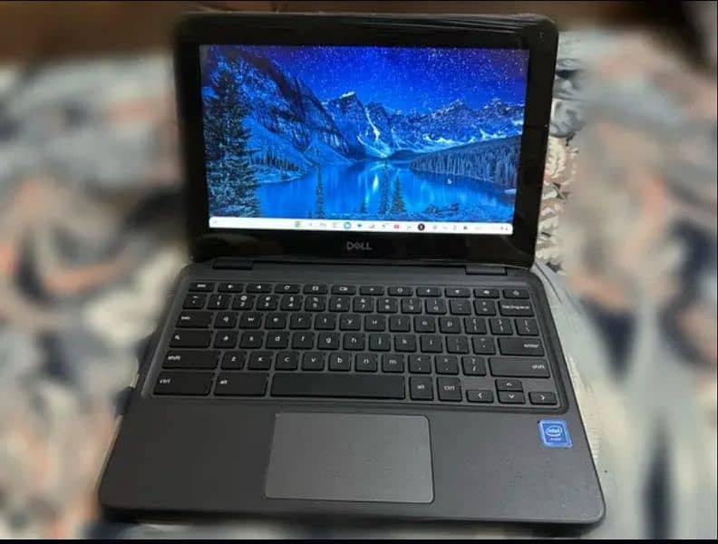 Dell Chromebook 3100 1