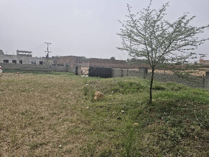 6.5 Kanal Warehouse/Yard Available For Rent 4