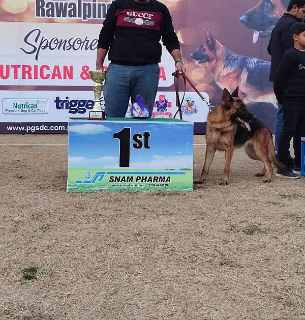 fimale 0