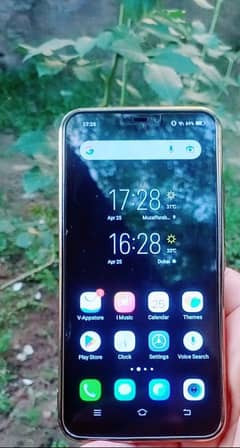 vivo