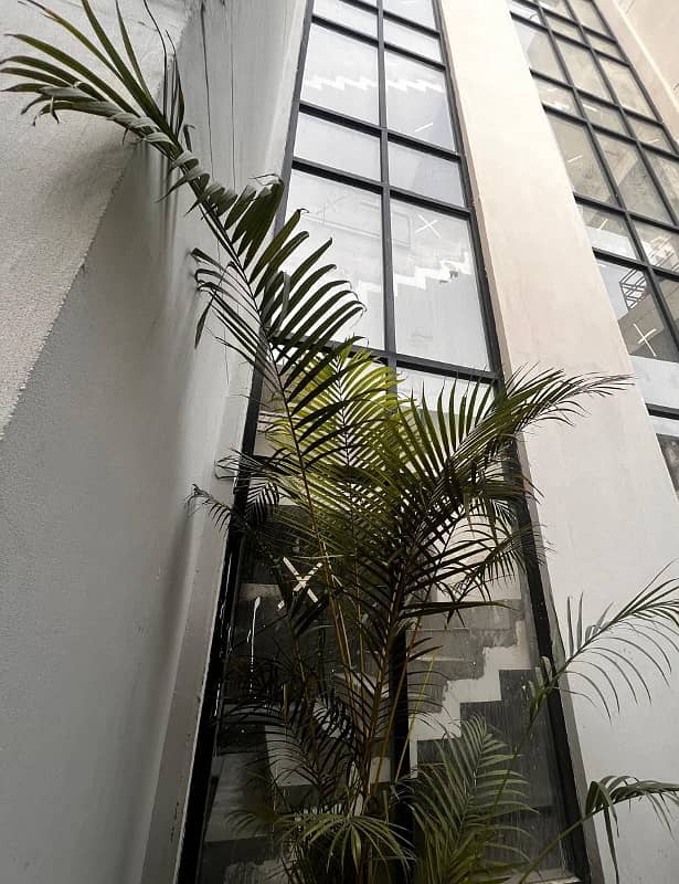 2 Bed For Rent In Gulberg Near F. C College 1