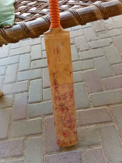 Original English willow Bat