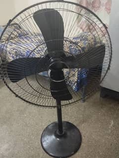 pedestal Fan