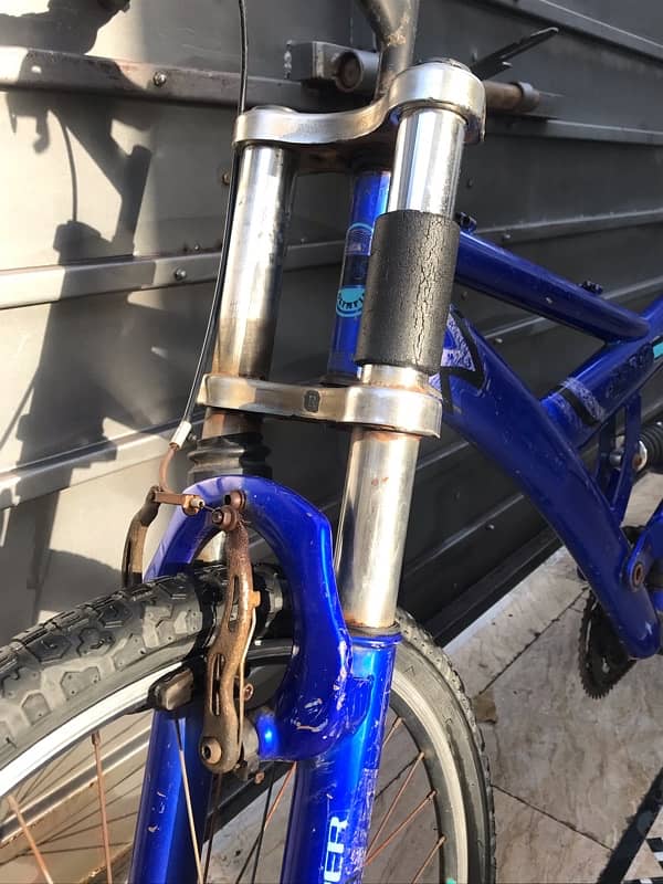 Olympia Standard size cycle 4