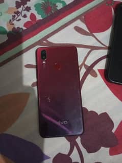 VIVO
