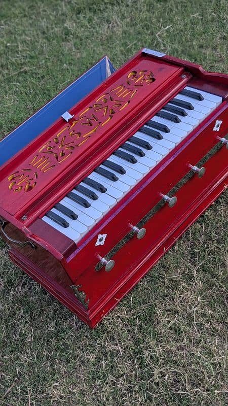 Professional Harmonium Category A1 For Sale 0