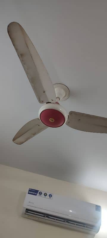 5 Ceiling Fans for sale. 1