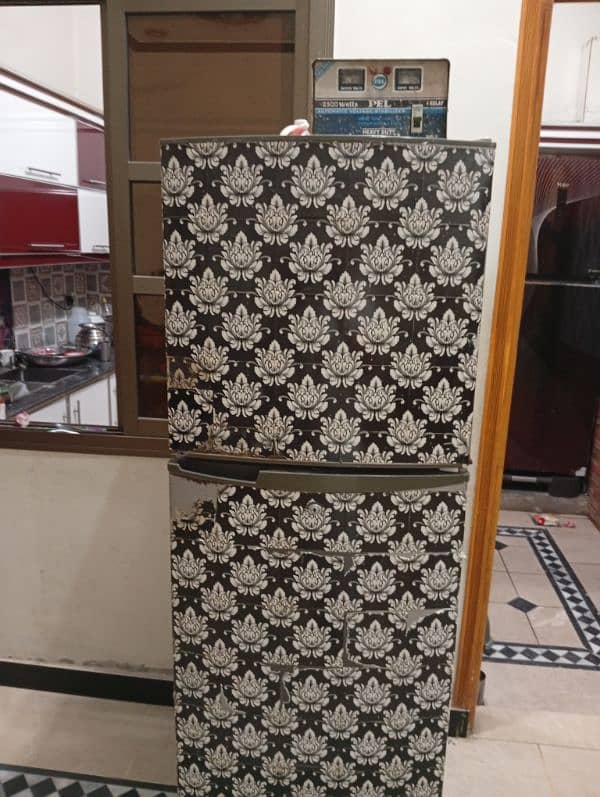 pel refrigerator medium 0
