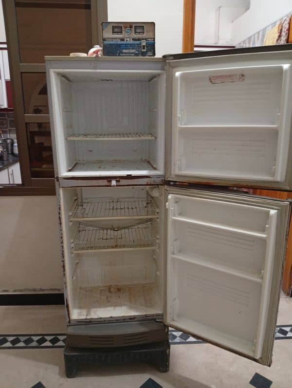 pel refrigerator medium 1