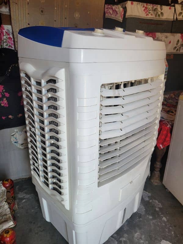 Air cooler Pad wala 1