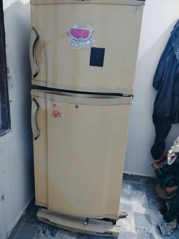 Pel fridge for sale 0