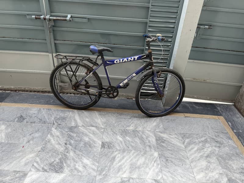 Bicycle 1