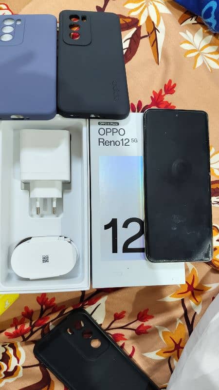 Oppo Reno 12 5G 2
