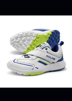 AS orignal new cricket shoes