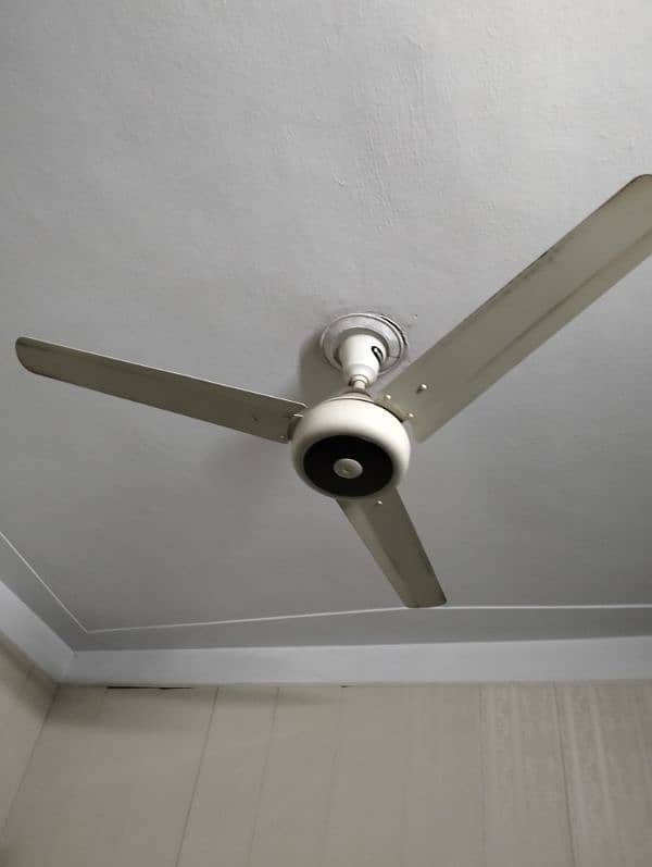 2 fan's brand ravians fan 0