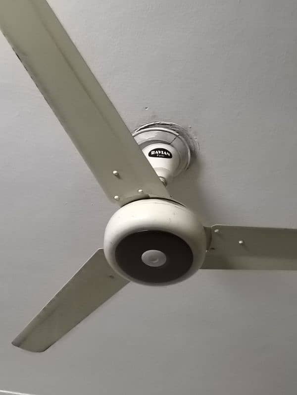 2 fan's brand ravians fan 1