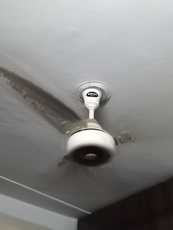 2 fan's brand ravians fan 3