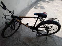 Gear bicycle