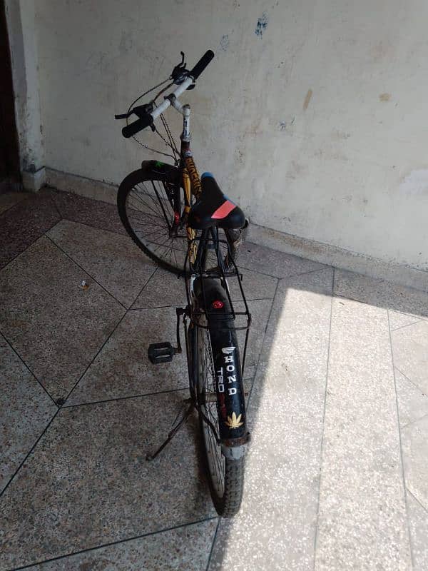 Gear bicycle 1