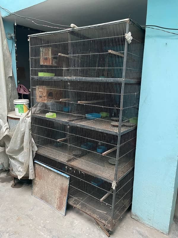 cages for birds 0