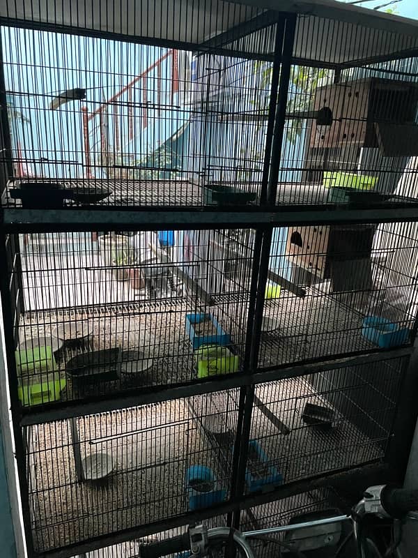 cages for birds 1