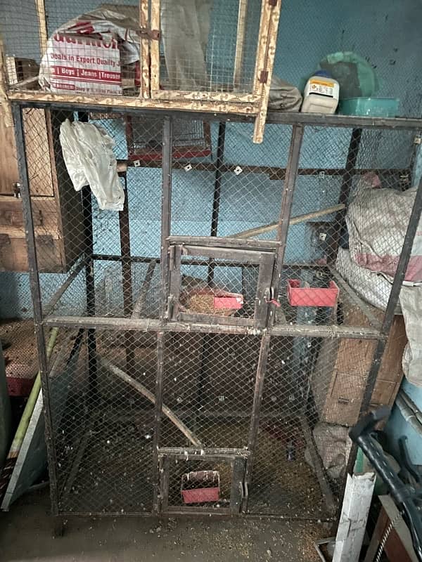 cages for birds 2