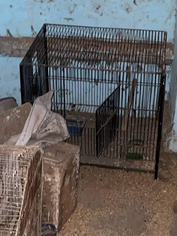 cages for birds 3