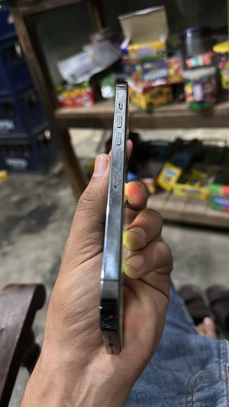 12pro max 1