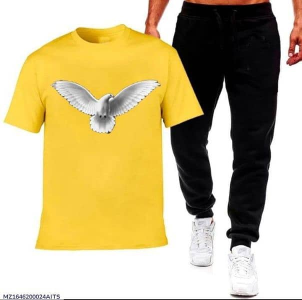 2 Pcs Men's Micro Printed Track Suit (cash on delivery) 0