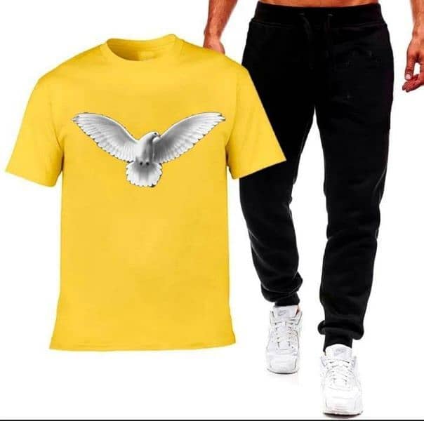 2 Pcs Men's Micro Printed Track Suit (cash on delivery) 2