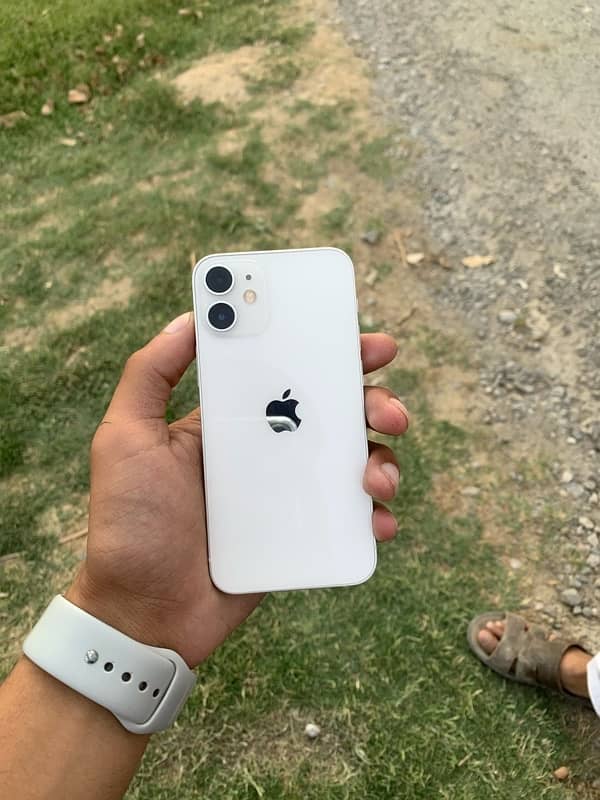 iPhone 12 Mini 1