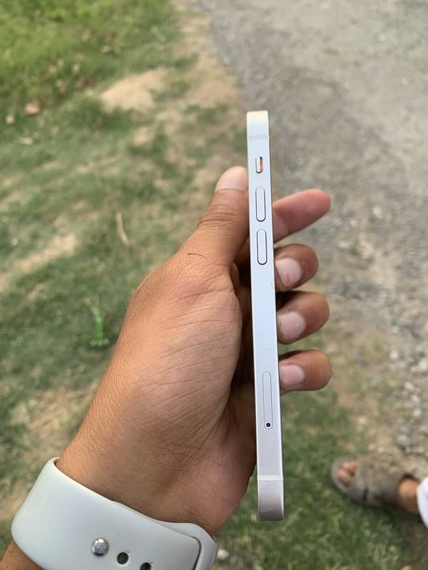 iPhone 12 Mini 3