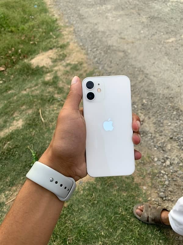 iPhone 12 Mini 5