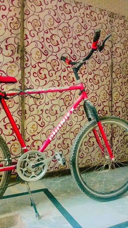 Cycle for sale near me 1