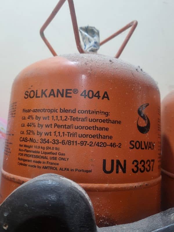 404 a 2 saylander 1