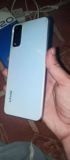 vivo