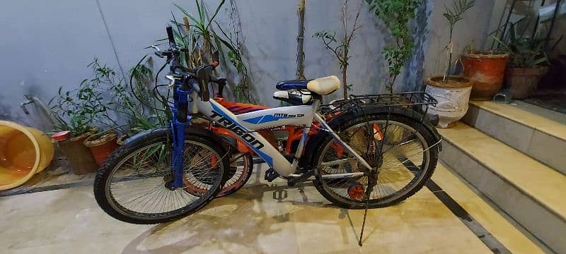 trigon mtb sports cycle 0