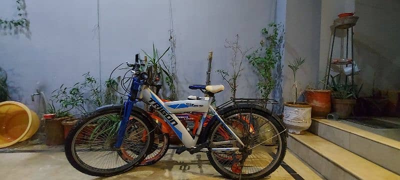 trigon mtb sports cycle 1