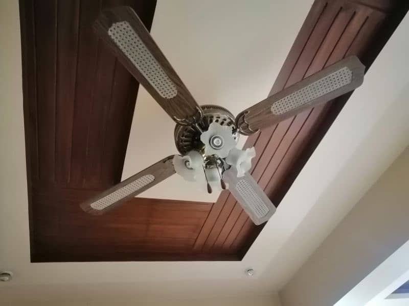 Imported Beautiful Fancy Fan 0