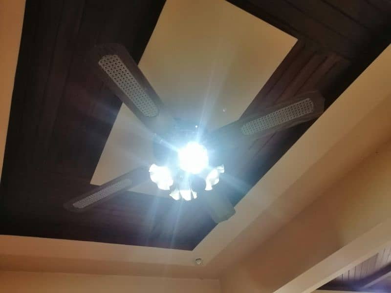 Imported Beautiful Fancy Fan 1